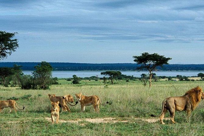 5-Day Murchison Falls, Budongo Chimps, Wildlife Big 5 Safari - The Sum Up