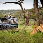 5 Day Private Guided Wildebeest Migration Tour - Practical Tips and Considerations