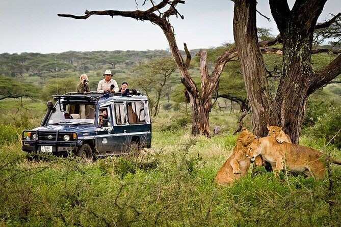 5 Day Private Guided Wildebeest Migration Tour - Practical Tips and Considerations