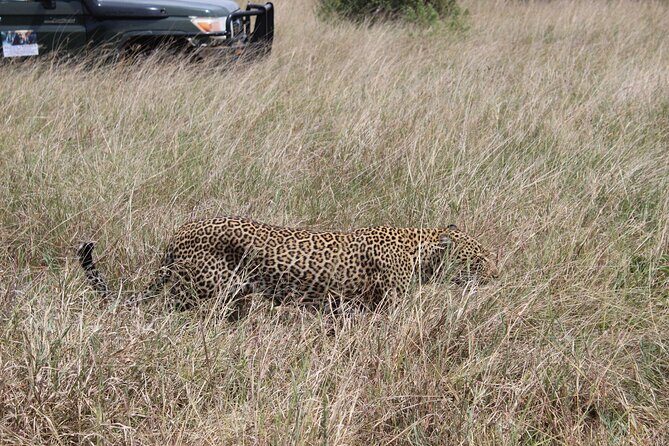 5-Day Private Tour in Kenya's Best Game Parks - Final Thoughts: Who Is This Tour Best For?