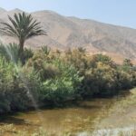 5-Day Private Tour to Sahara and ErgChebbi from Marrakech - The Real Value of This Tour