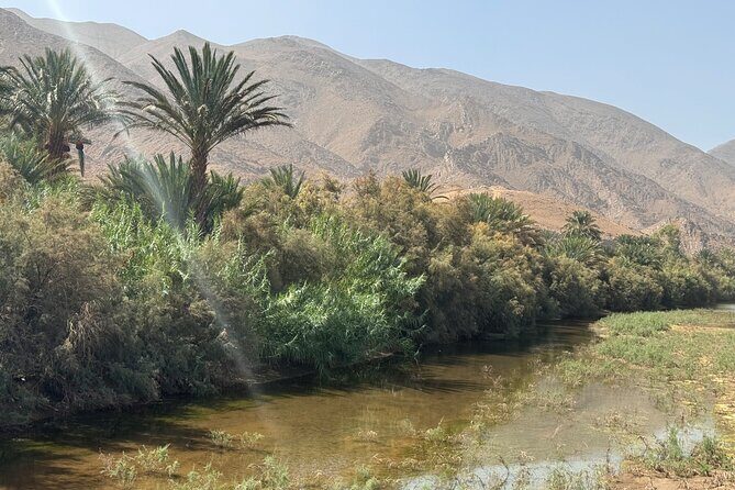 5-Day Private Tour to Sahara and ErgChebbi from Marrakech - The Real Value of This Tour
