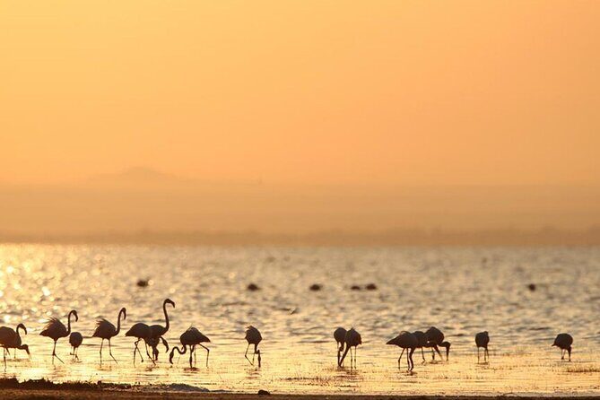 5 Day: Scenic Northern Circuit Safari - Who Should Consider This Safari?