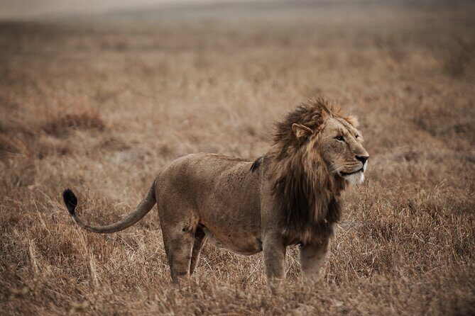 5 Day Tanzania Safari - Lodging and Comfort