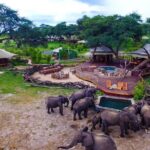 5 Day Victoria Falls and Hwange National Park Accommodated Safari Tour - Practical Details: What This Tour Means for You