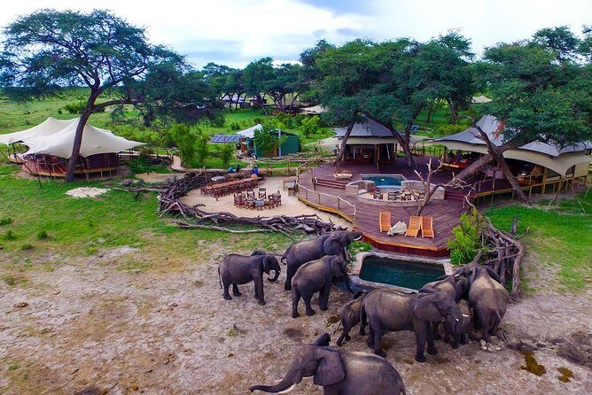 5 Day Victoria Falls and Hwange National Park Accommodated Safari Tour - Practical Details: What This Tour Means for You