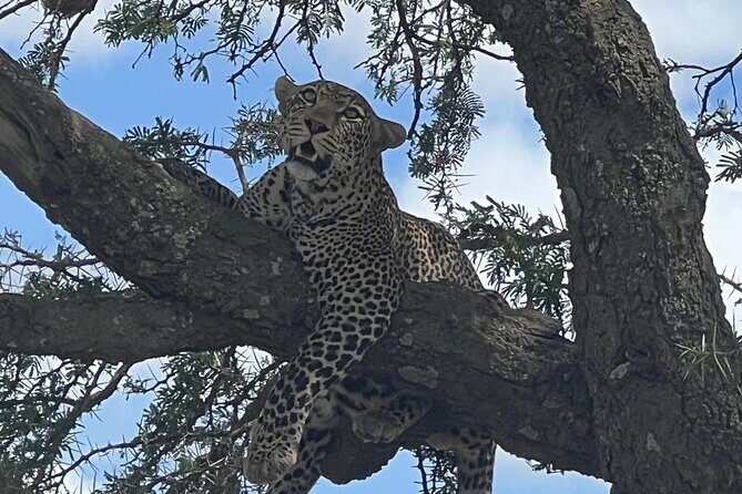 5-Day Visit Zimbabwe, Zambia, Botswana & Namibia Island - Full-Day Victoria Falls Experience