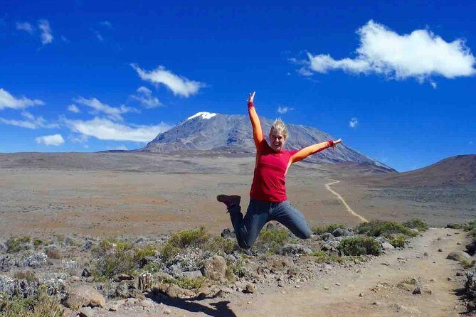 5 Days (4 Night) Marangu Route - The Itinerary Breakdown: What to Expect Each Day
