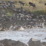 5 Days/4 Nights Kenya Safari - In-Depth Look at the Itinerary