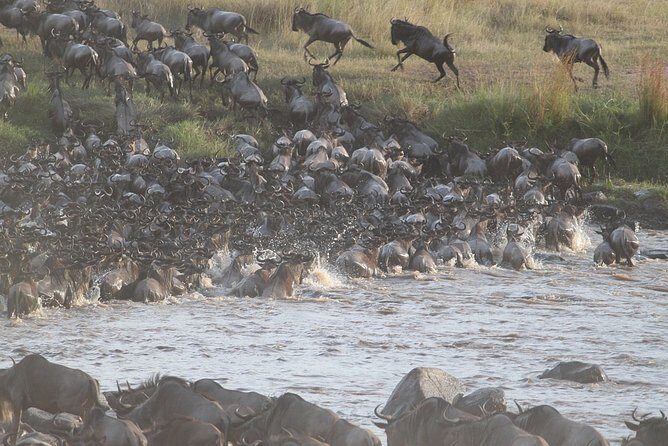 5 Days/4 Nights Kenya Safari - In-Depth Look at the Itinerary