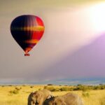 5 Days 4 Nights Lake Naivasha & Masai Mara Luxury Kenya Safari - What’s Included & What’s Not