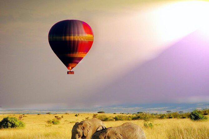 5 Days 4 Nights Lake Naivasha & Masai Mara Luxury Kenya Safari - What’s Included & What’s Not