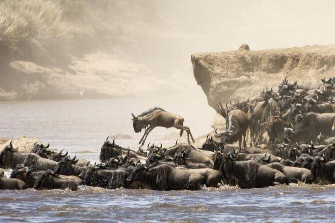 5 Days 4 Nights Tarangire, Serengeti , Ngorongoro & Manyara Wildlife Safari - What’s Included and What’s Not