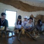 5 Days Adventurous Wildlife Safari - Transportation and Group Size
