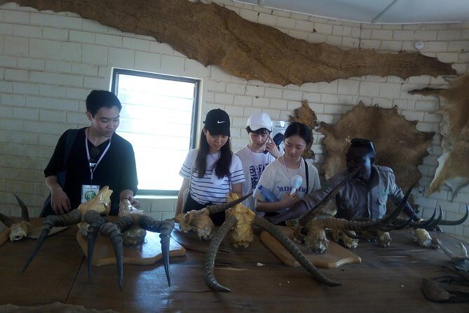 5 Days Adventurous Wildlife Safari - Transportation and Group Size