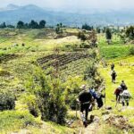 5 Days Akagera and Volcanoes National Park - Wildlife Safari in Akagera National Park