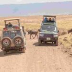 5 Days - Best Of Tanzania Northern Zone, Lodge Safari - Transportation and Accommodation