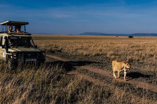5 Days Budget Safari in Tanzania - Why This Tour Offers Excellent Value