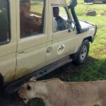 5 Days Camping Tarangire, Serengeti & Ngorongoro crater & Visiting Maasai - Serengeti: The Heart of Wildlife
