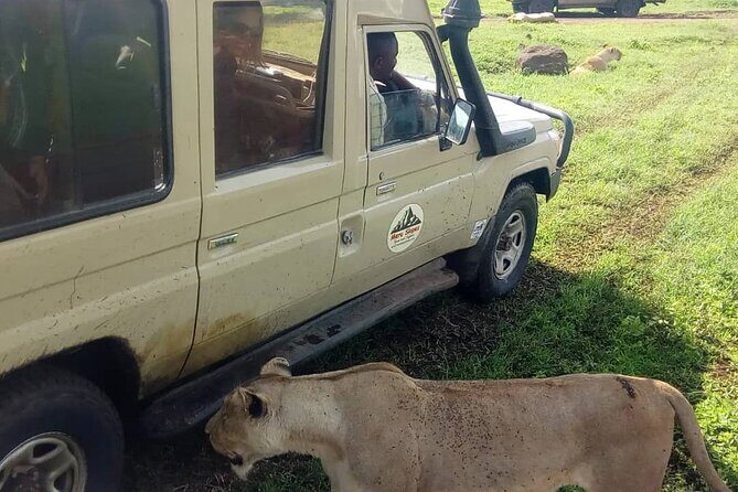 5 Days Camping Tarangire, Serengeti & Ngorongoro crater & Visiting Maasai - Serengeti: The Heart of Wildlife