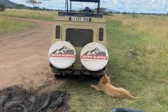 5 Days Camping Tarangire, Serengeti & Ngorongoro crater & Visiting Maasai - Who Is This Tour Best For?