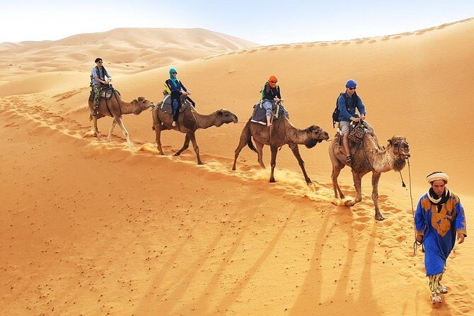 5 Days Casablanca To Sahara Desert - Who Is This Tour Best For?