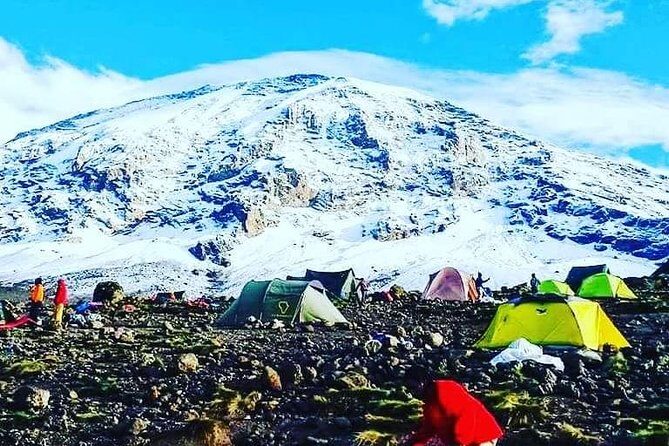 5 Days cheapest Kilimanjaro Marangu Route - Who Is This Tour Best For?