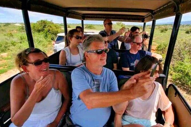 5-Days Garden Route Tour From Port Elizabeth to Cape Town - Final Thoughts: Who Is This Tour Best For?