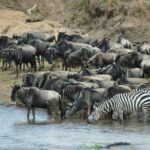 5 Days Highlights of Kenya - Detailed Itinerary Breakdown