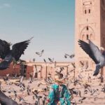 5 days in Marrakech city guide & private day-trips - Who Will Love This Tour?
