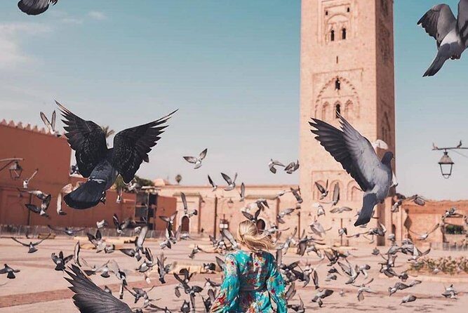 5 days in Marrakech city guide & private day-trips - Who Will Love This Tour?