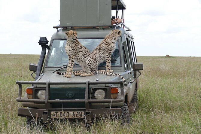 5 Days in to the heart of serengeti - Who Is This Tour Best For?