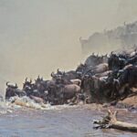 5 days Kenya Safari Expedition - The Sum Up