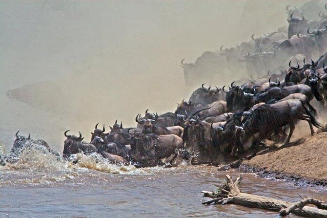 5 days Kenya Safari Expedition - The Sum Up