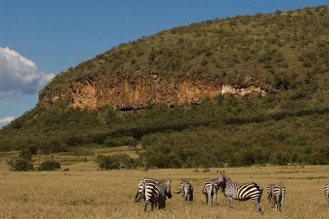 5 Days Maasai mara, Lake Nakuru, samburu private lodge safari - Overview of the Safari Experience