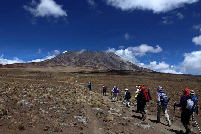 5 Days Marangu Route Kilimanjaro Climbing - The Itinerary in Detail: What to Expect Each Day
