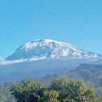 5 Days Marangu Route Kilimanjaro Trekking - The Sum Up