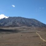 5 Days Marangu Route Kilimanjaro Trekking - Practical Details and What to Expect