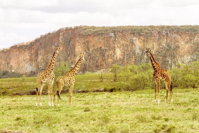 5 Days Masai Mara, Lake Nakuru & Naivasha Budget Joining Safari - Practical Tips for Future Travelers