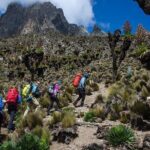 5 Days Mount Kenya Trekking Through Sirimon in Chogoria Route - Practical Details and Logistics