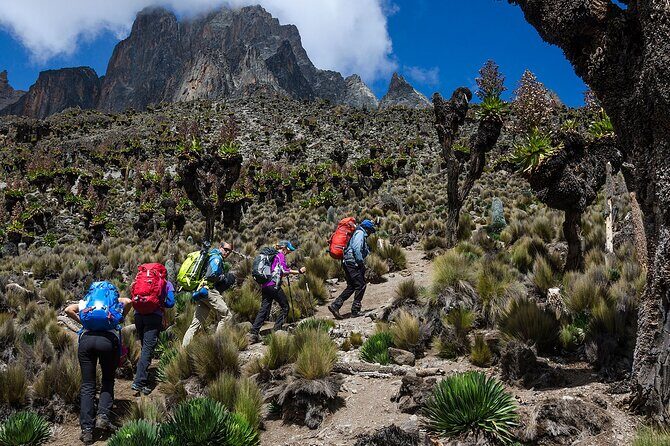 5 Days Mount Kenya Trekking Through Sirimon in Chogoria Route - Practical Details and Logistics