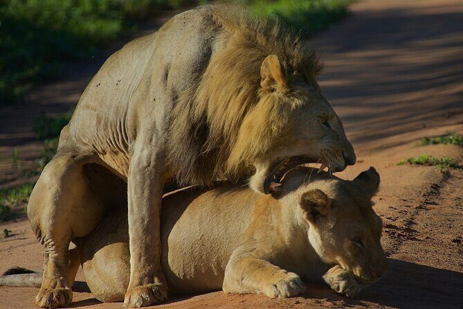 5 Days Northern Tanzania Safari- Lodging - What Youll Love About This Safari
