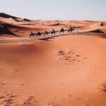 5 days of Marrakech - Who This Tour Is Perfect For