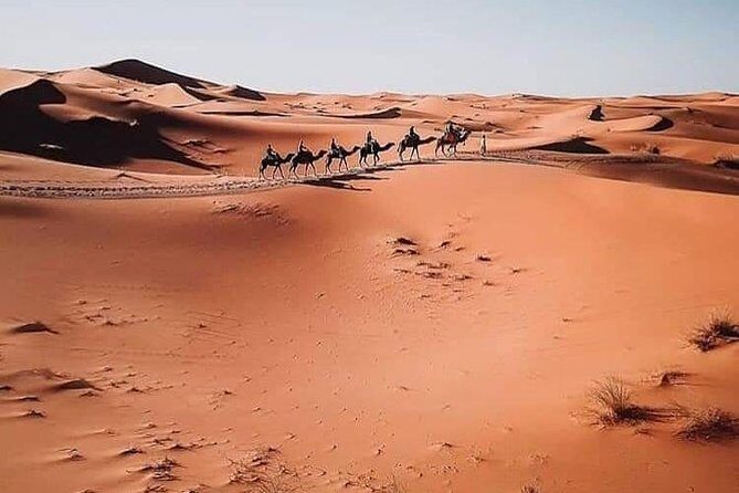 5 days of Marrakech - Who This Tour Is Perfect For