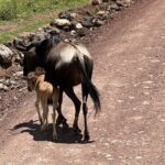 5 Days of Wilderness Ride - An In-Depth Look at the 5-Day Wilderness Ride