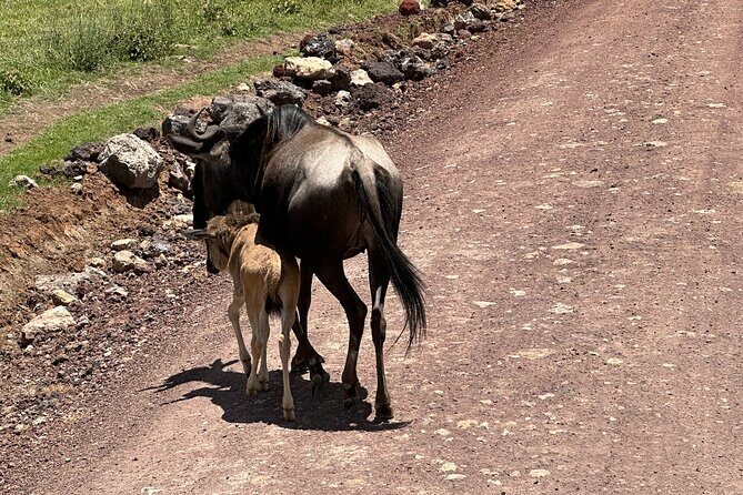 5 Days of Wilderness Ride - An In-Depth Look at the 5-Day Wilderness Ride