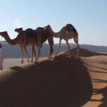 5 Days Package TOUR DINA - What We Love About TOUR DINA