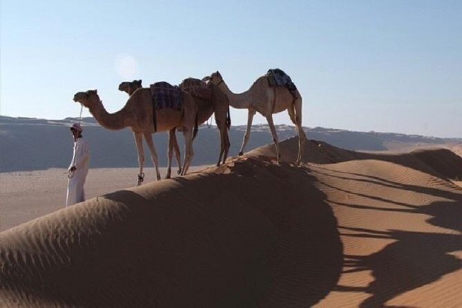5 Days Package TOUR DINA - What We Love About TOUR DINA