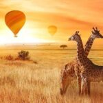 5 Days Private Safari- Tarangire, Serengeti, Ngorongoro & Manyara - What Makes This Safari a Great Choice?