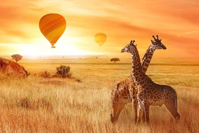 5 Days Private Safari- Tarangire, Serengeti, Ngorongoro & Manyara - What Makes This Safari a Great Choice?